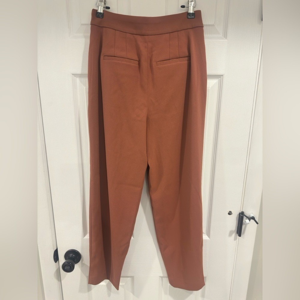 Express Terracotta Pleated Trousers | Women's Size 2 | High-Waist Dress Pants - Picture 4 of 6